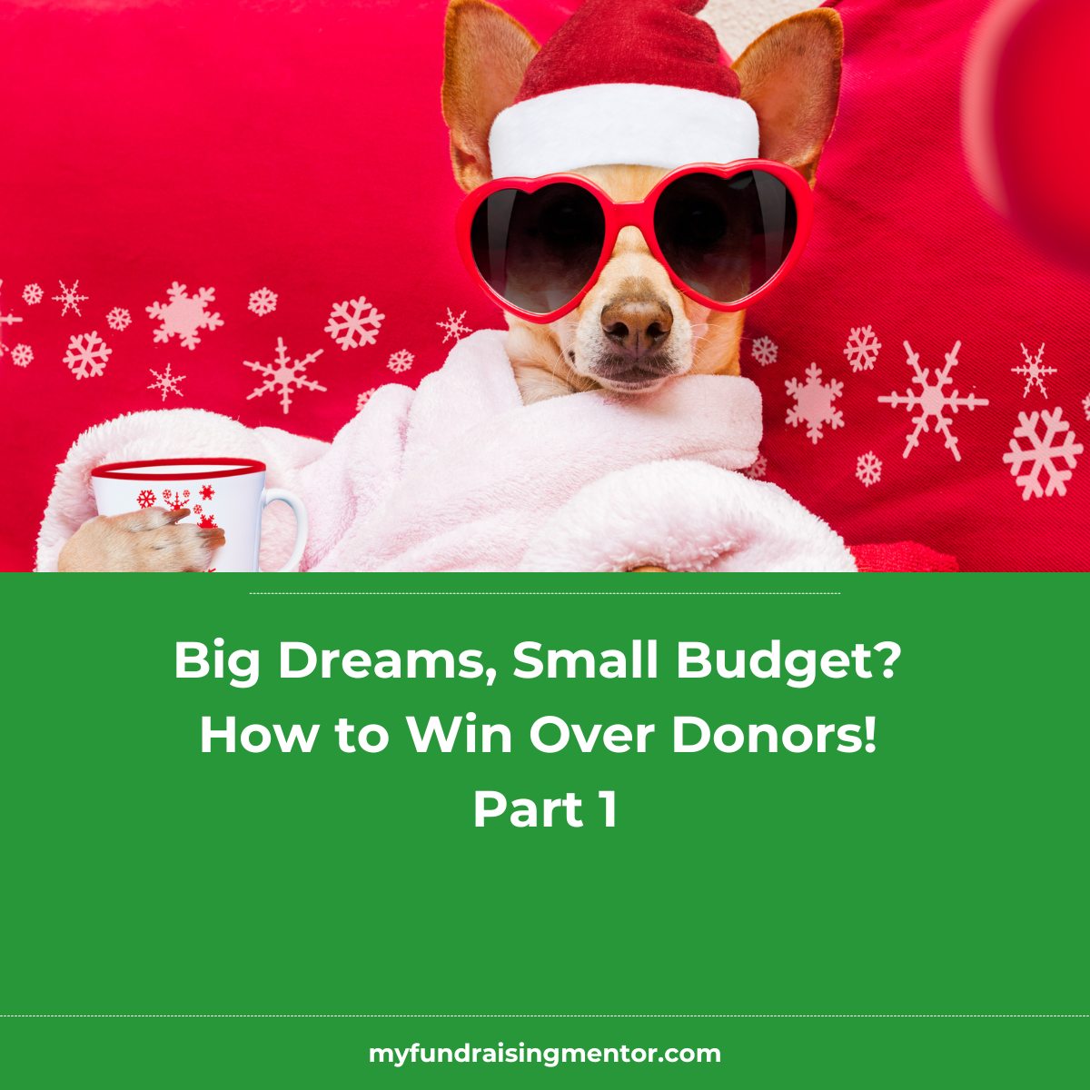 Big Dreams, Small Budget? How to Win Over Donors! Part 1