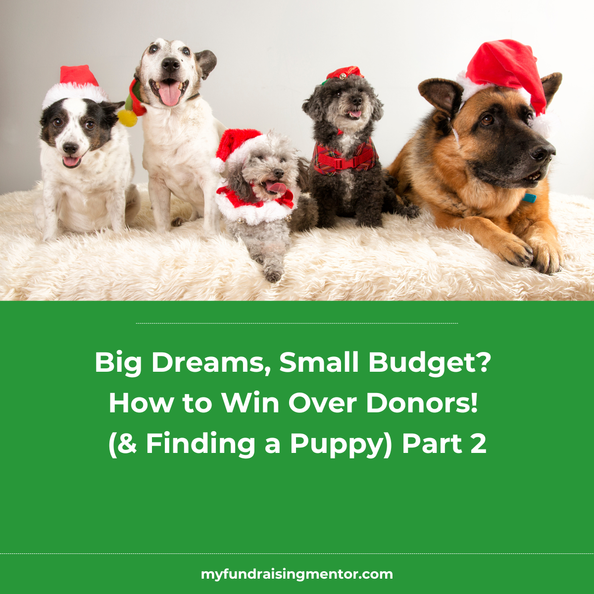 Big Dreams, Small Budget? How to Win Over Donors – Part 2